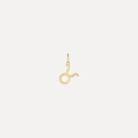 Mini Zodiac Sign - Forever Charm