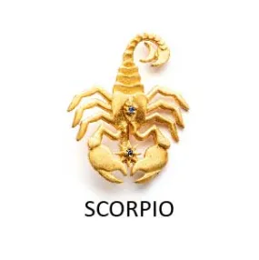 Scorpio (Oct 24 - Nov 21)