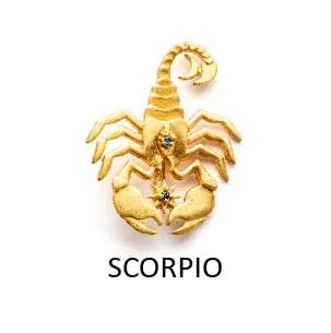 Scorpio (Oct 24 - Nov 21)